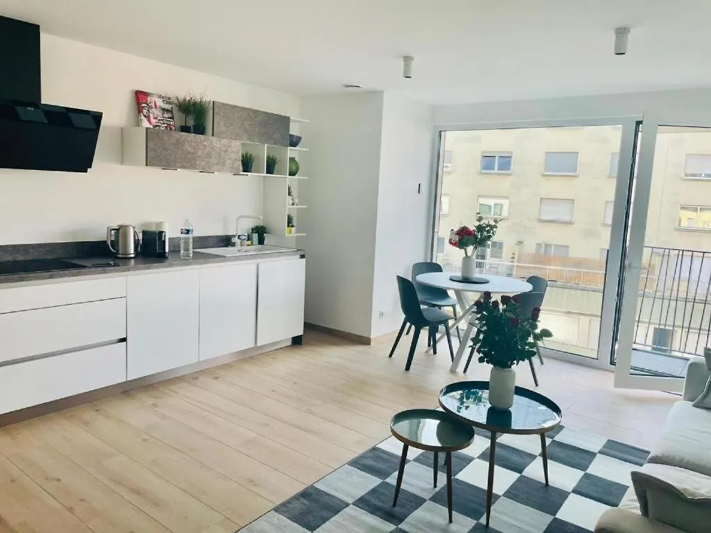 Cozy 1 Bedroom Flat With Private Terrace Luxembourg